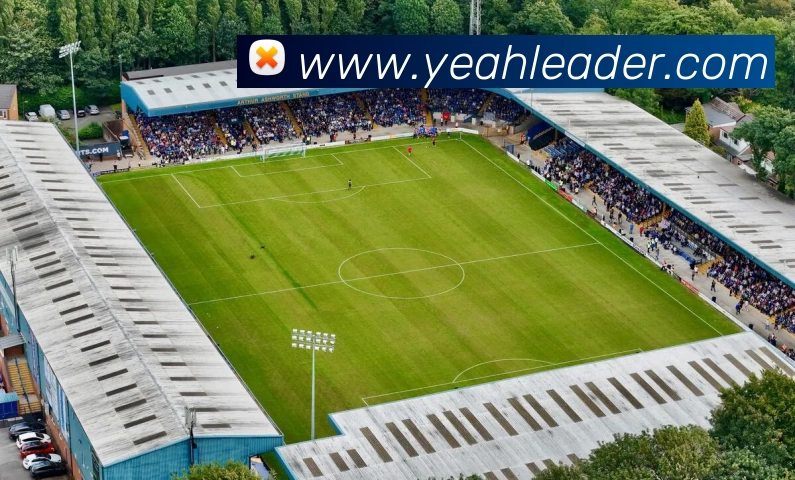 十大信誉好的平台APP 封面图